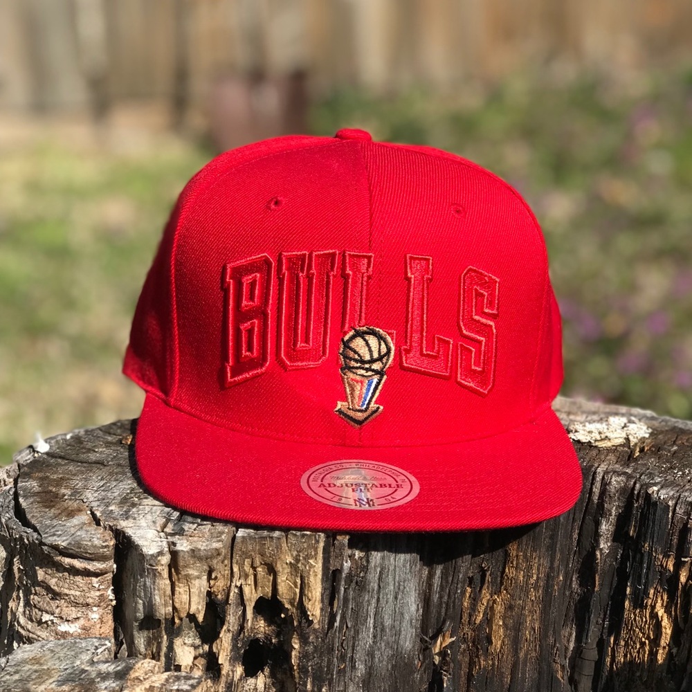 Chicago Bulls SnapBack